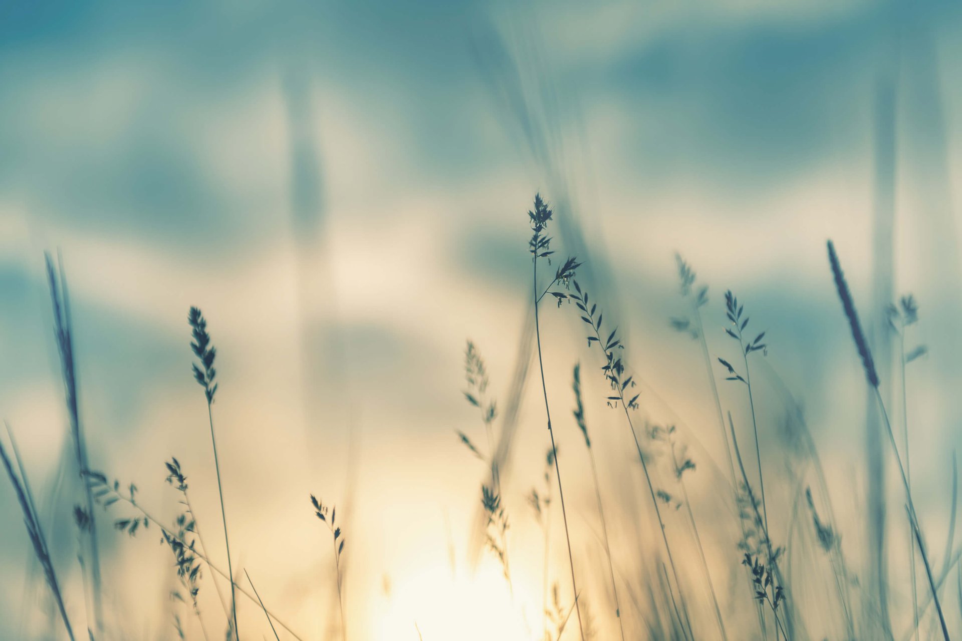 natur