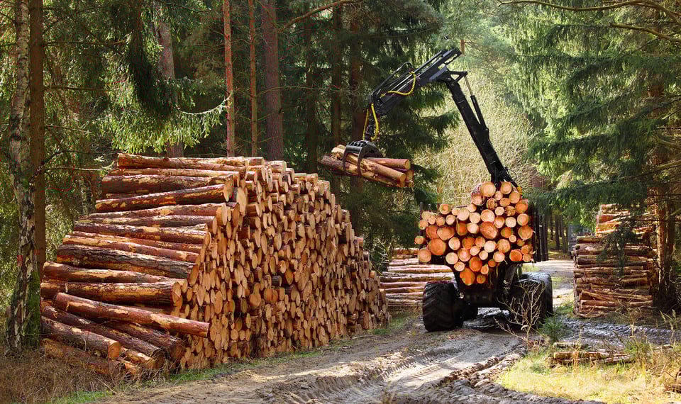 Skogsindustri där en truck lyfter trä.