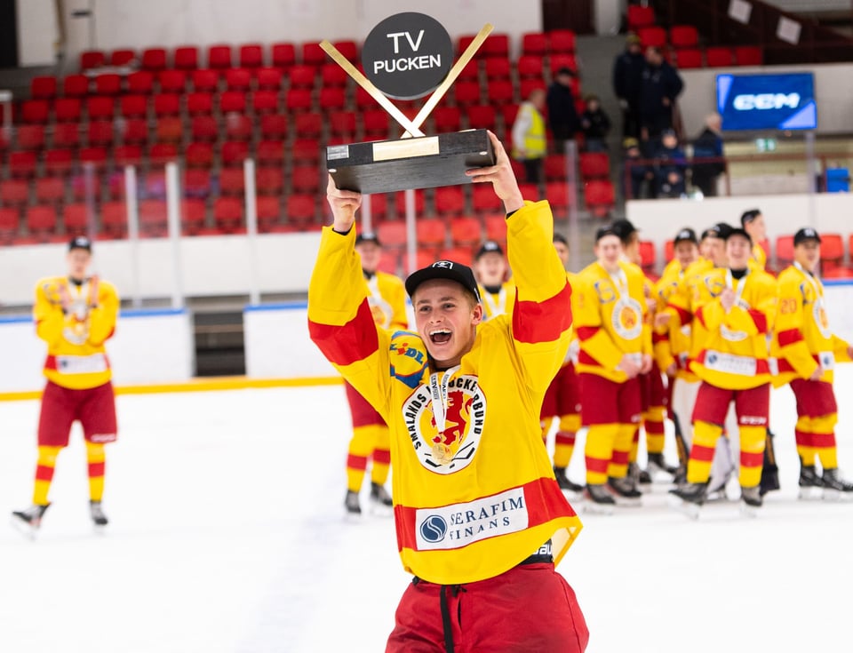 TV-puckens vinnare 2024